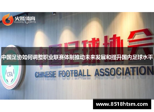 中国足协如何调整职业联赛体制推动未来发展和提升国内足球水平