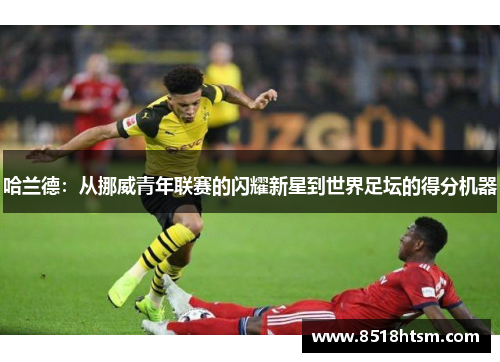 哈兰德：从挪威青年联赛的闪耀新星到世界足坛的得分机器