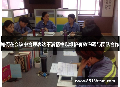 如何在会议中合理表达不满情绪以维护有效沟通与团队合作