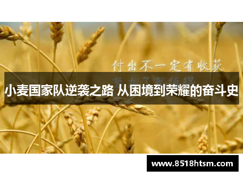 小麦国家队逆袭之路 从困境到荣耀的奋斗史