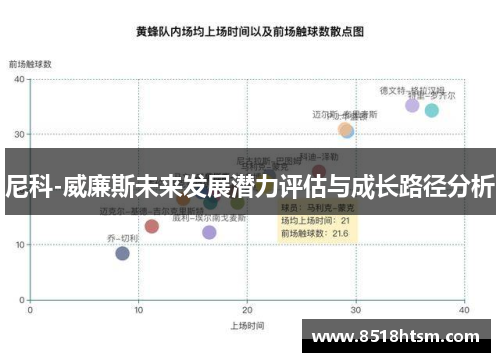 尼科-威廉斯未来发展潜力评估与成长路径分析